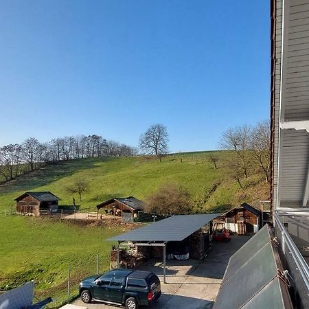 Grosse Tolle 4 Zimmer Ferienwohnung Im Herzen Des Odenwaldes Mörlenbach Zewnętrze zdjęcie