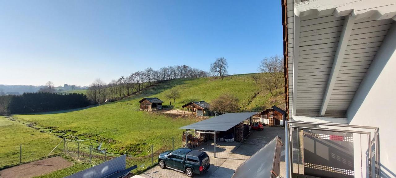 Grosse Tolle 4 Zimmer Ferienwohnung Im Herzen Des Odenwaldes Mörlenbach Zewnętrze zdjęcie