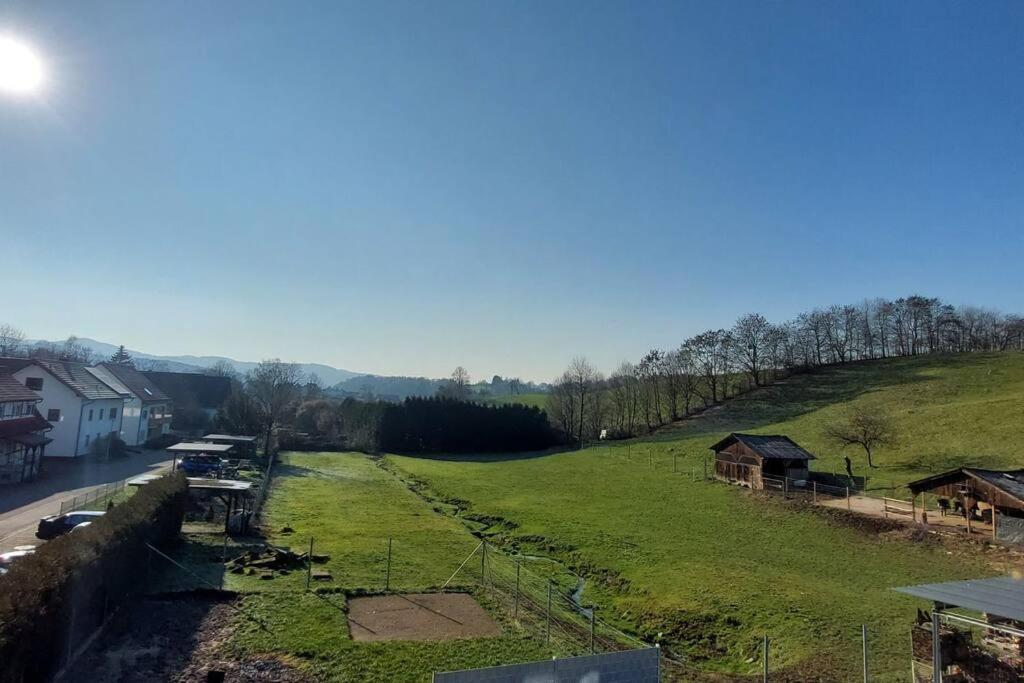 Grosse Tolle 4 Zimmer Ferienwohnung Im Herzen Des Odenwaldes Mörlenbach Zewnętrze zdjęcie