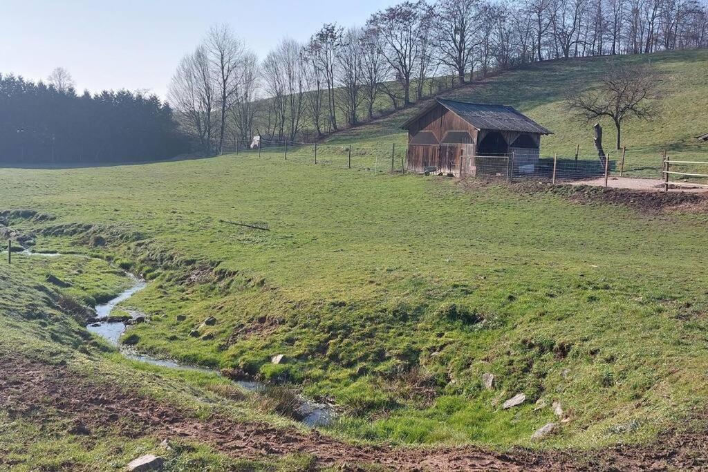 Grosse Tolle 4 Zimmer Ferienwohnung Im Herzen Des Odenwaldes Mörlenbach Zewnętrze zdjęcie