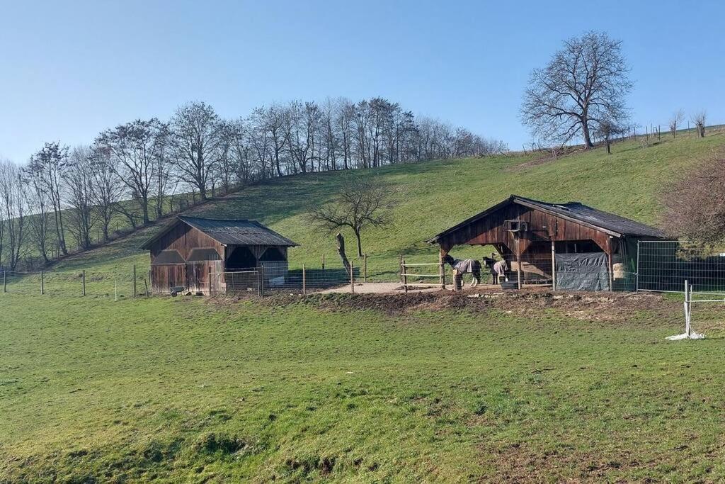 Grosse Tolle 4 Zimmer Ferienwohnung Im Herzen Des Odenwaldes Mörlenbach Zewnętrze zdjęcie