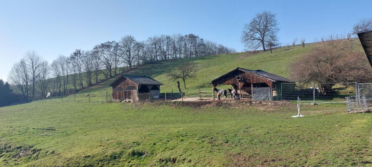 Grosse Tolle 4 Zimmer Ferienwohnung Im Herzen Des Odenwaldes Mörlenbach Zewnętrze zdjęcie